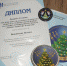 SwNh3c4 1wY - Отдел образования