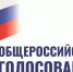 Волонтерами Конституции в Тверской области стали более 1400 человек - Кимры Сегодня