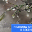Памятка Главного управления МЧС России по Тверской области: безопасность в весенний период - Администрация района