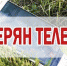 У кимряка пропал телефон 1 - Кимры Сегодня