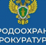 Рисунок1 - Администрация г. Кимры