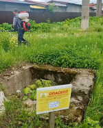 В Кимрском округе продолжается борьба с борщевиком